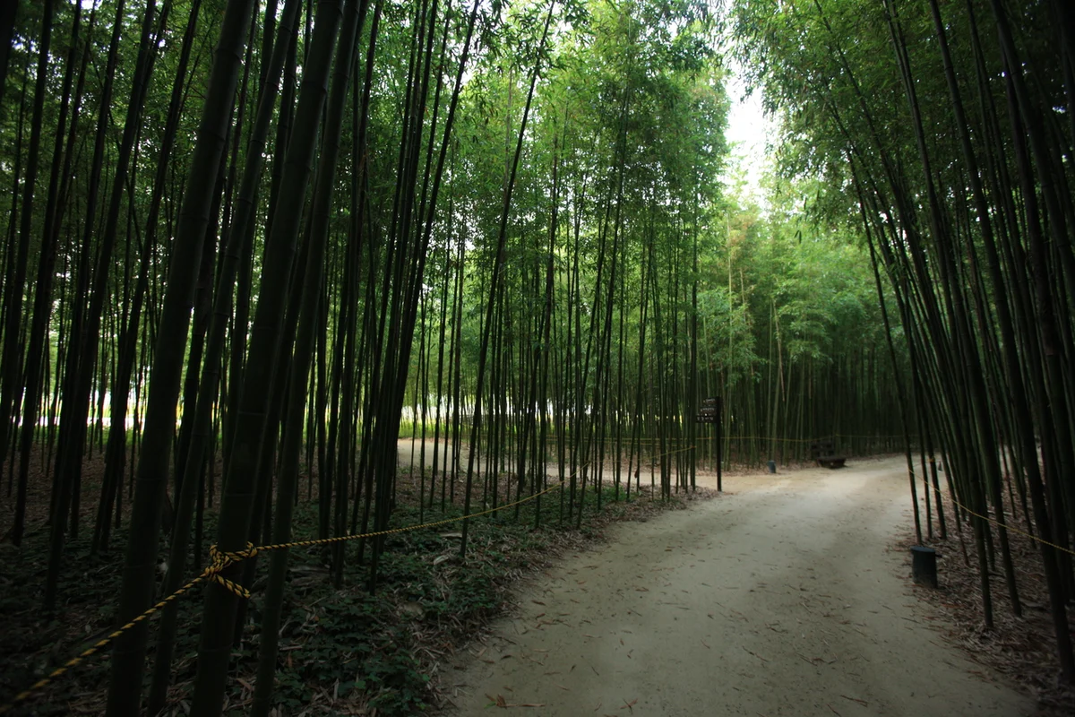 태화강 국가정원 - 울산 여행