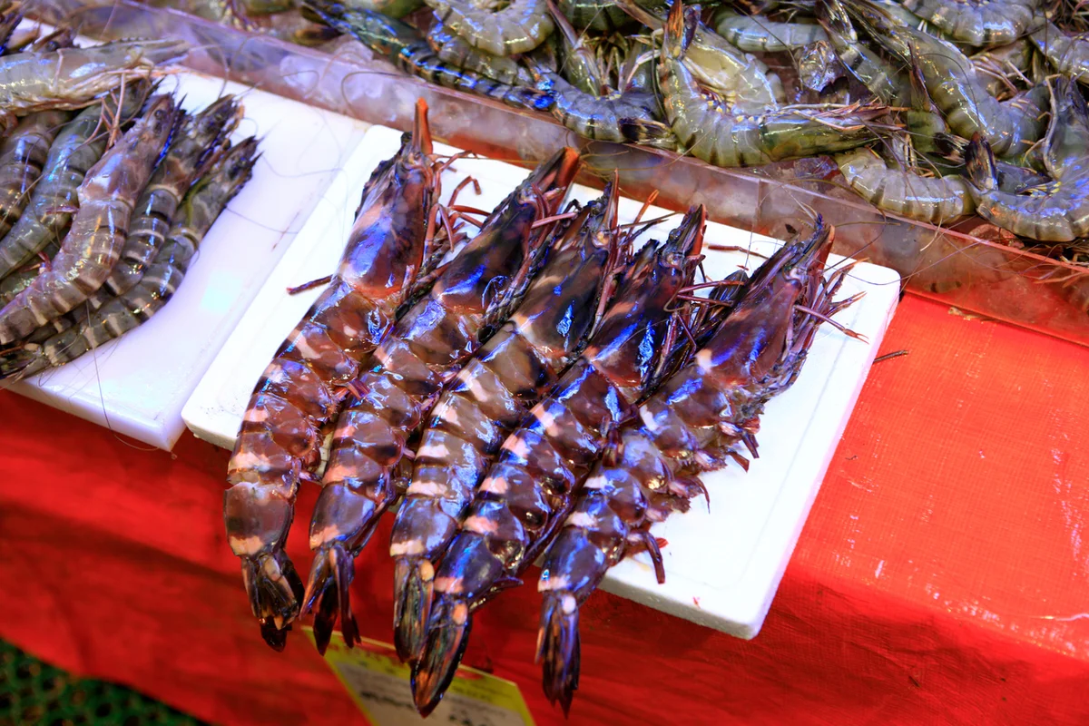 소래포구항 - 소래포구 여행