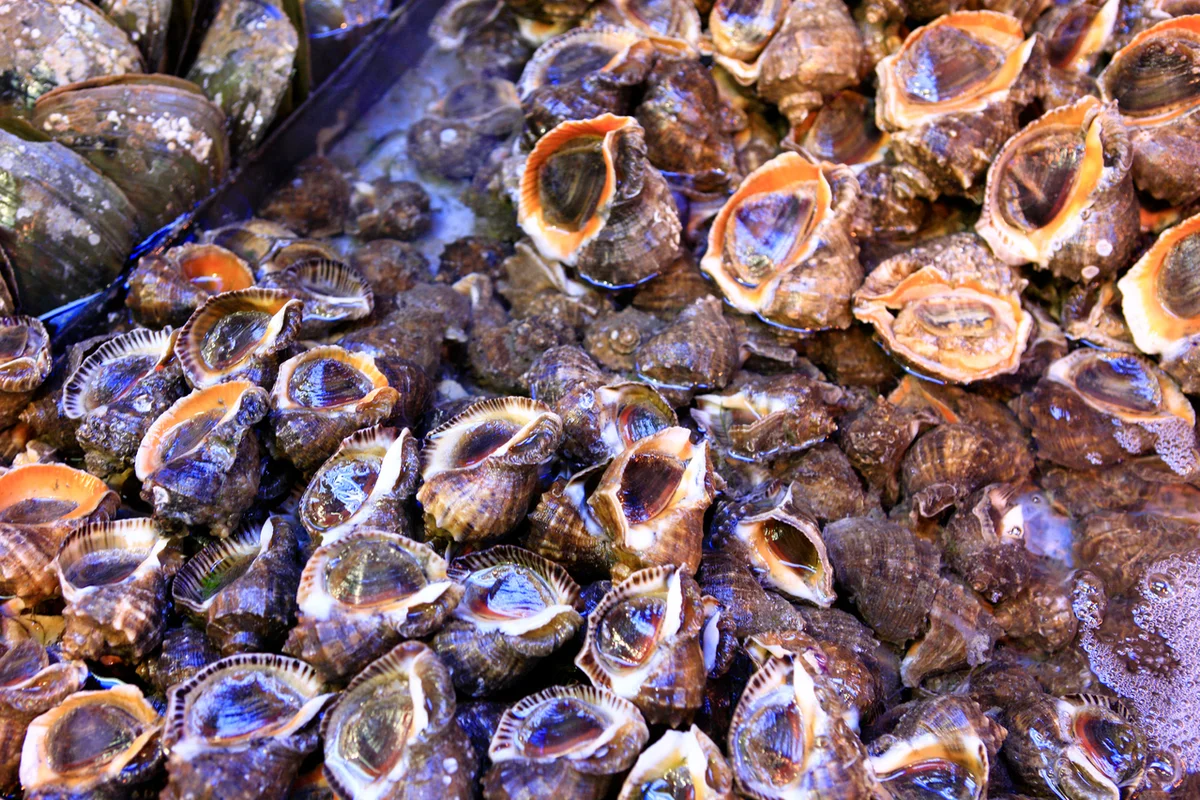 소래포구전통어시장 - 소래포구 여행