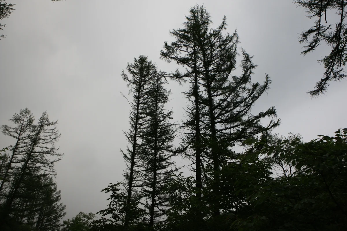 제이드 가든 - 자라섬 여행