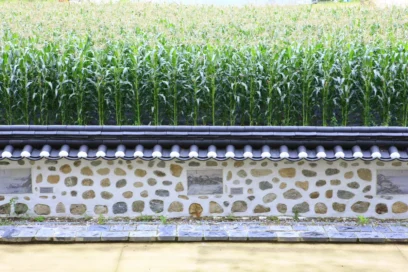 경포대 친구와 여행 2026년 봄 최적 코스 BEST 6