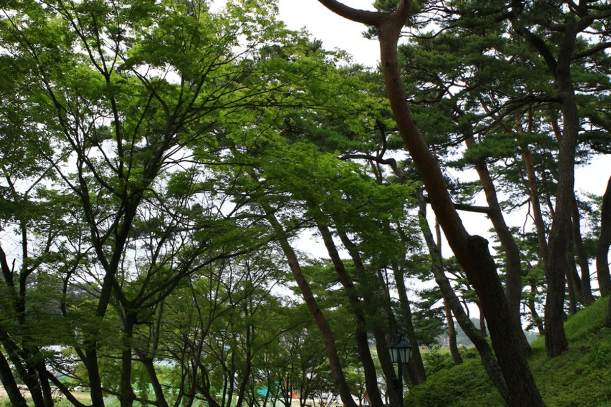 강릉선교장 - 경포대 여행