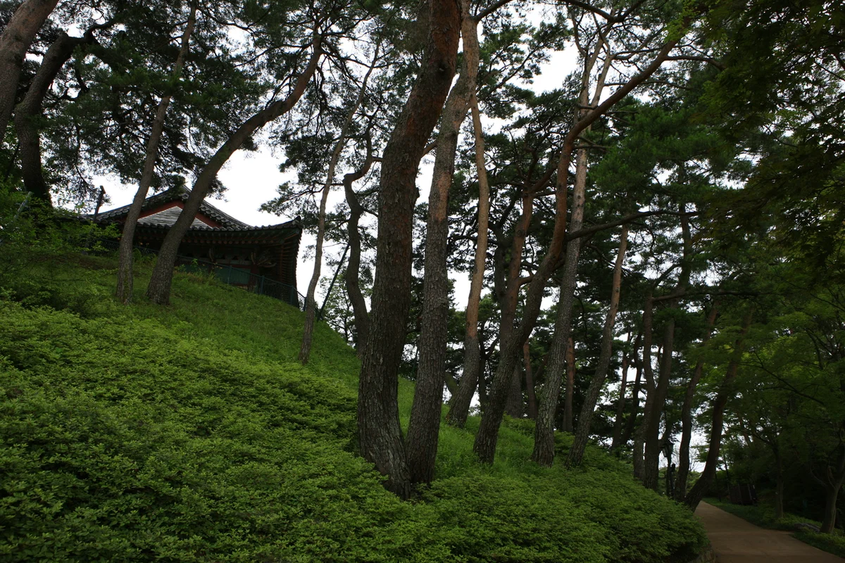 사근진해변 - 경포대 여행