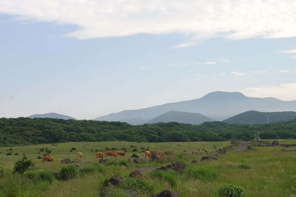 제주돌문화공원 - 제주 여행