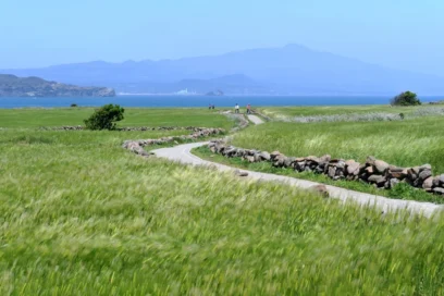 방배 봄 가볼만한곳 2026, 놓치면 후회할 추천 명소 5곳
