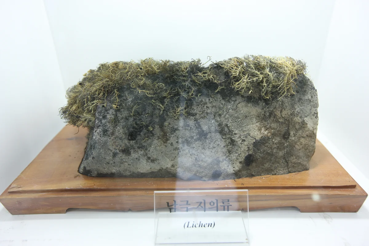 인천도시역사관 - 송도여행 여행