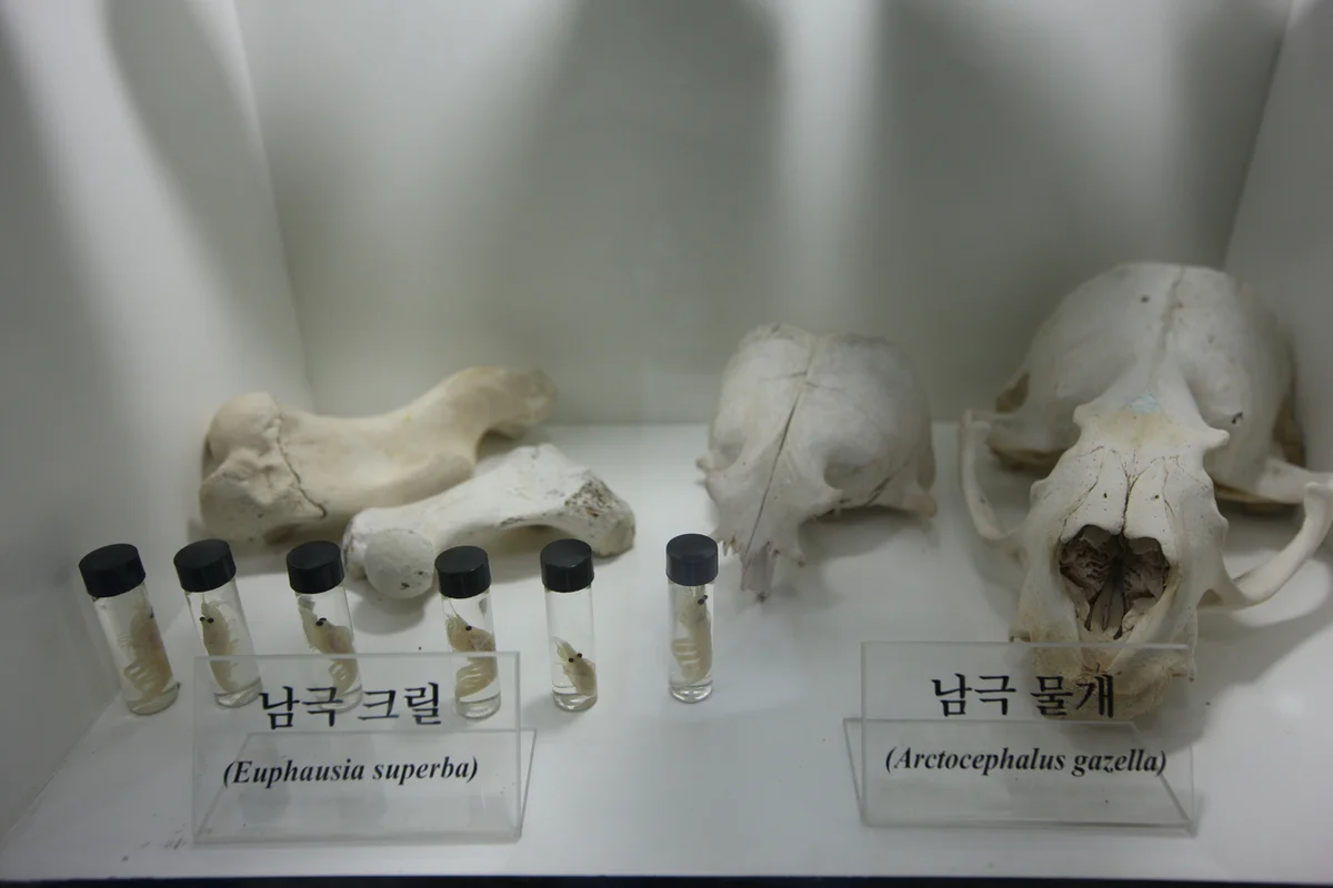 송도해수온천 송해온 - 송도여행 여행