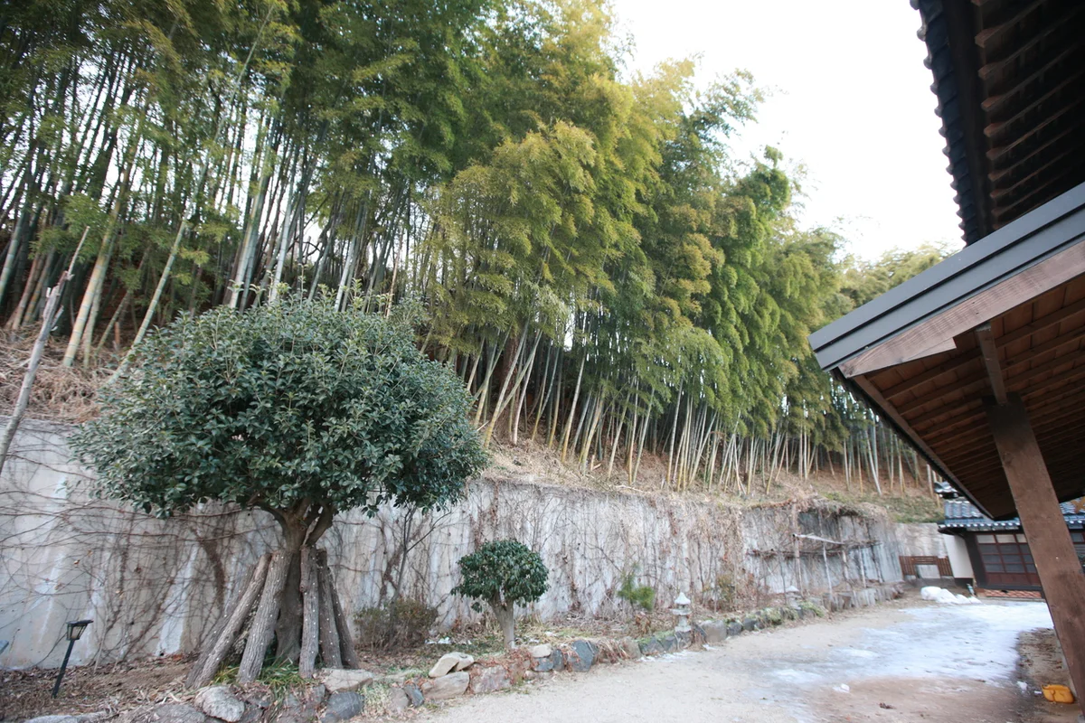 동국사 - 전북여행 여행