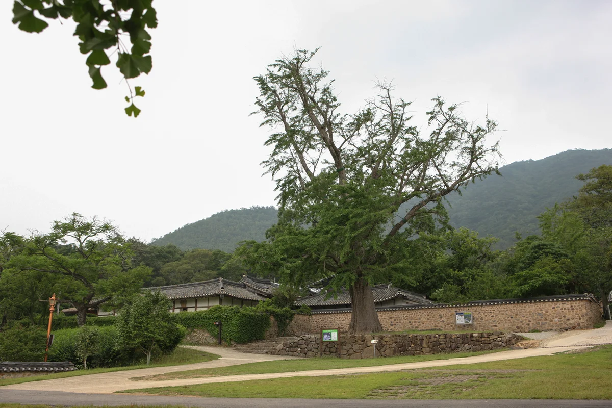 포레스트수목원 - 해남 여행 여행