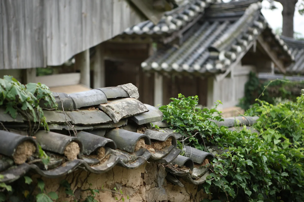 두륜산 군립공원 - 해남 여행 여행