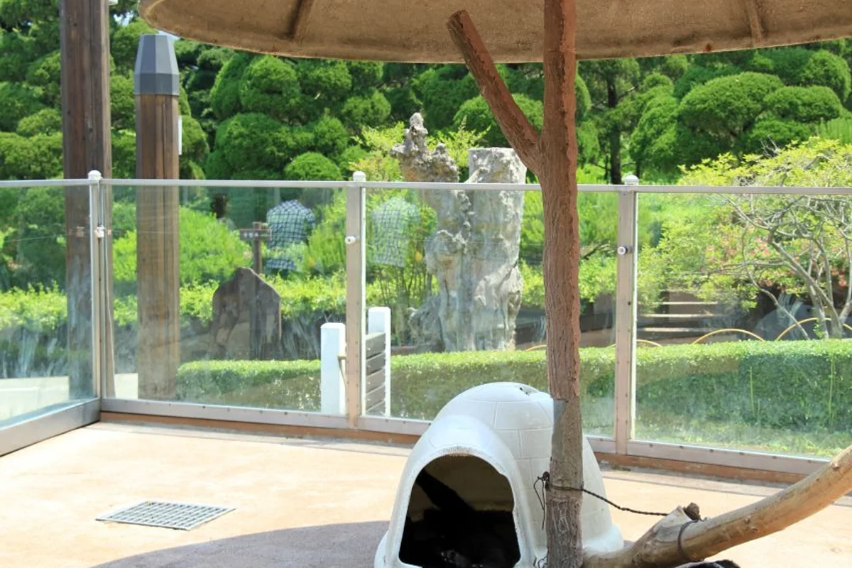 베어트리파크열대식물원 - 베어트리파크 여행