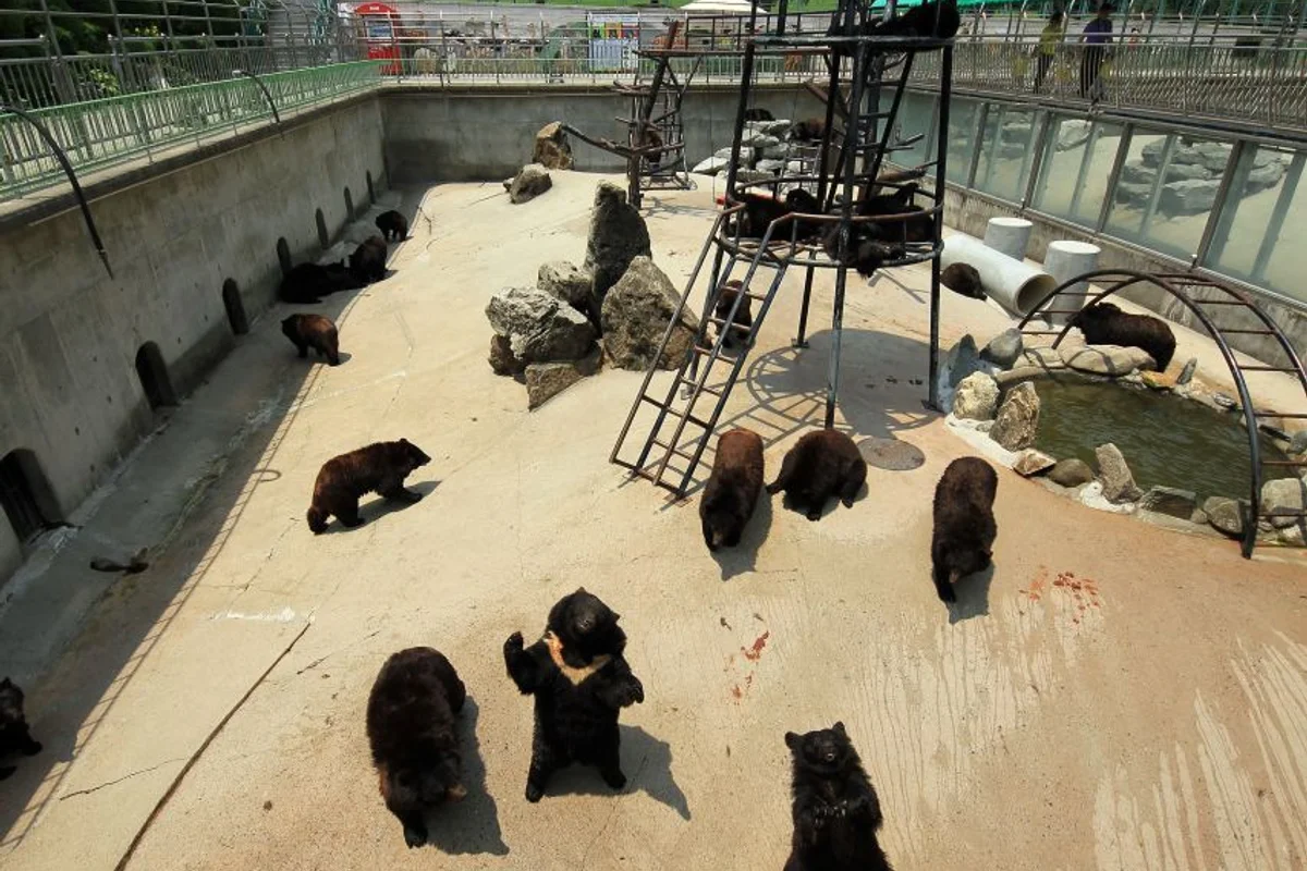 웰니스 가든 - 베어트리파크 여행