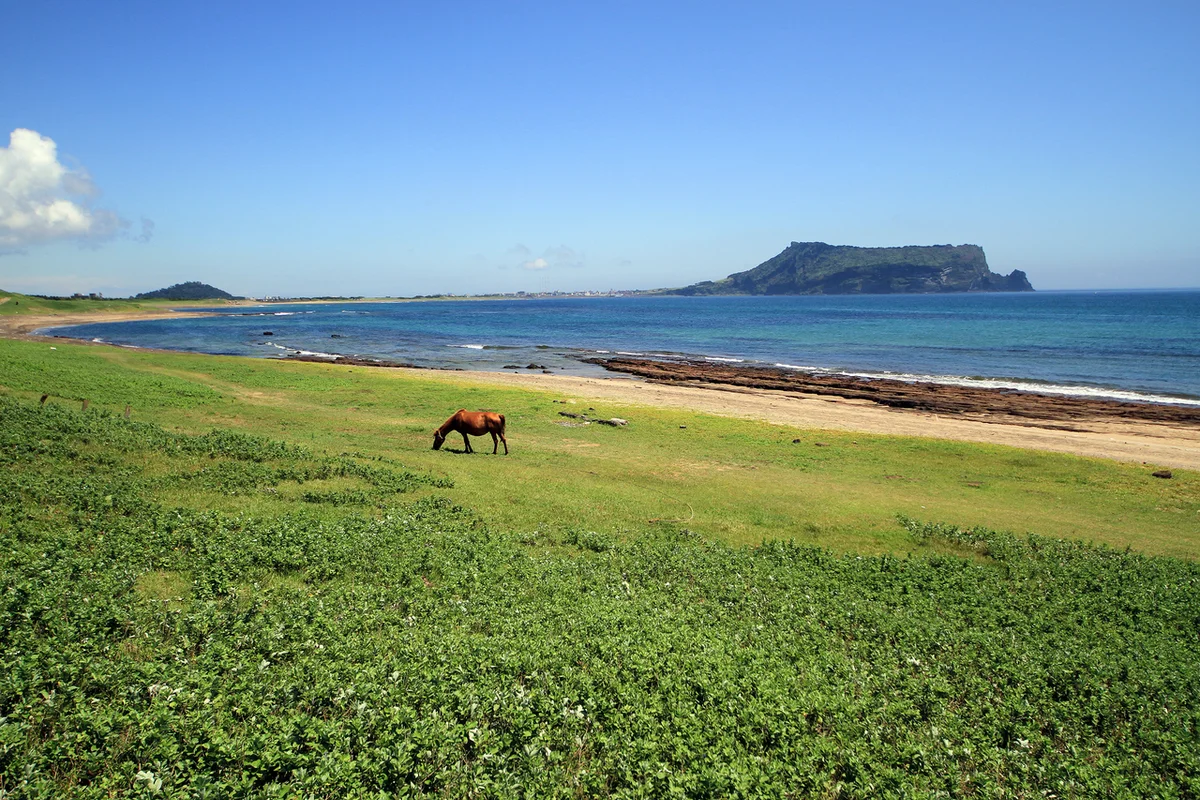 성산일출봉, 성산 새해 일출 명소 - 성산새해일출명소 여행