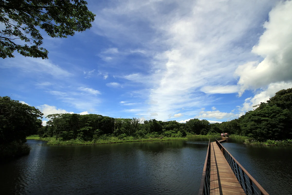 에코랜드 테마파크 - 제주 여행