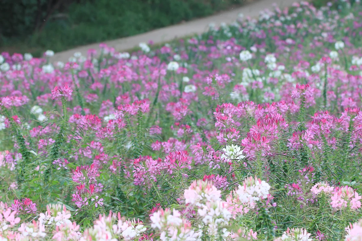 몽촌토성 - 올림픽공원 여행