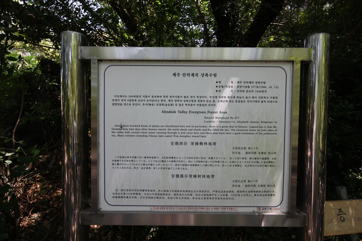 신성리공룡발자국 - 안덕글램핑 여행