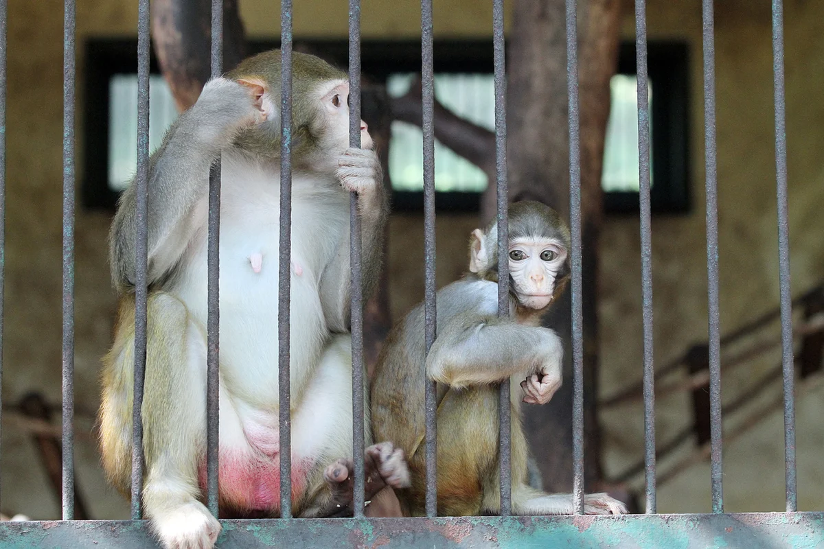 진양호동물원 - 진주시 여행