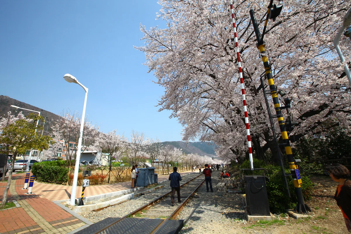 진해보타닉뮤지엄 - 창원여행 여행