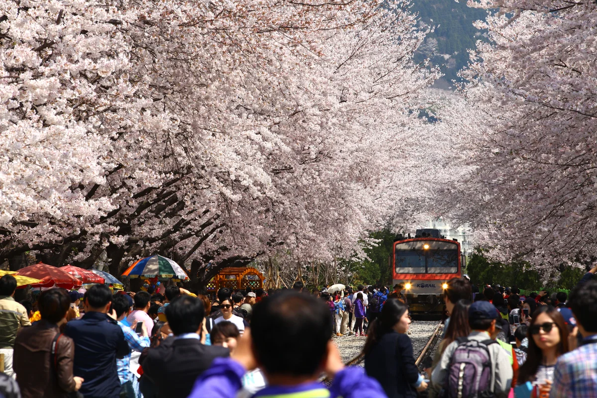 용지호수공원 - 창원여행 여행