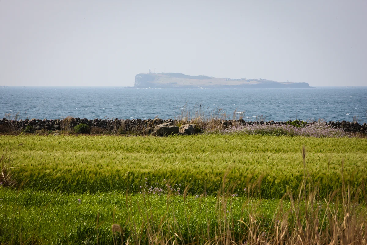 산양삼산약초홍보교육관 - 영주여행 여행
