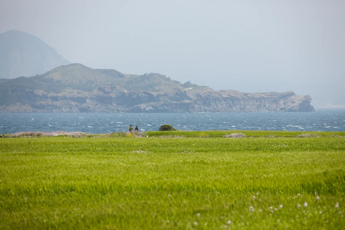 청권사 - 방배동 여행