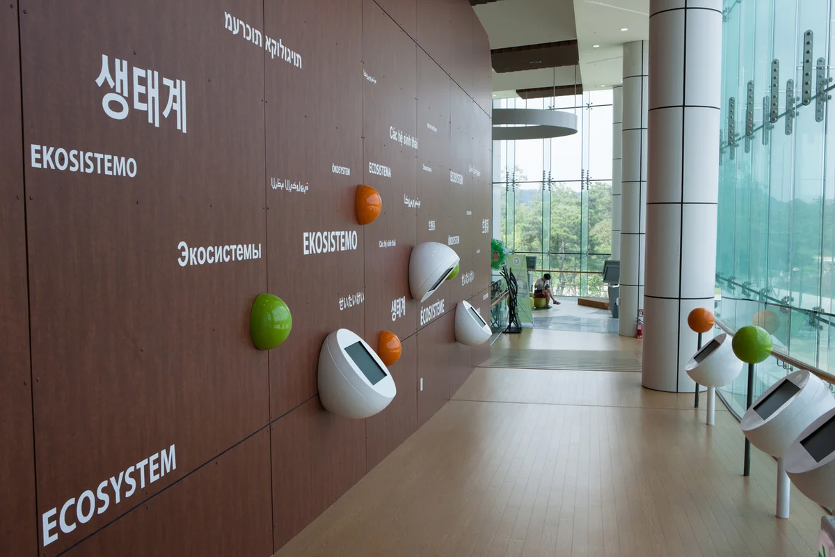 선도리갯벌체험장 - 서천군 여행