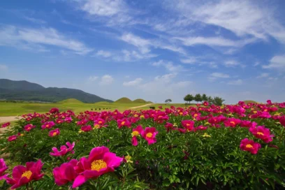 의성 아기랑 가볼만한곳 BEST 5, 2026년 봄·여름 맞이 가족 여행 코스
