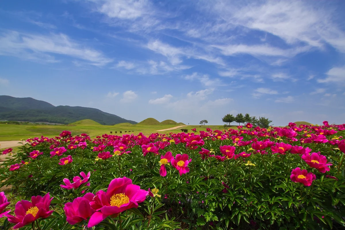 의성 드라이브 (출처 : 한국관광공사)