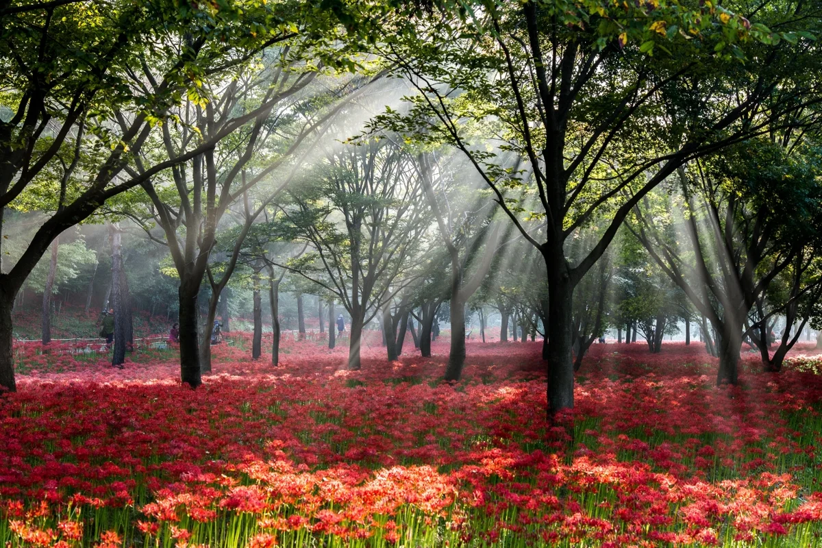 불갑사 - 영광 여행