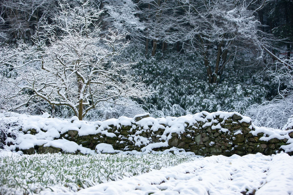 김제 금산사 - 전주시사찰 여행