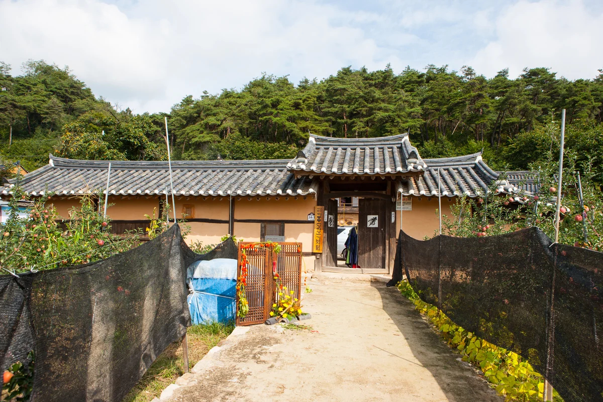 헤아림펜션 - 경북여행 여행