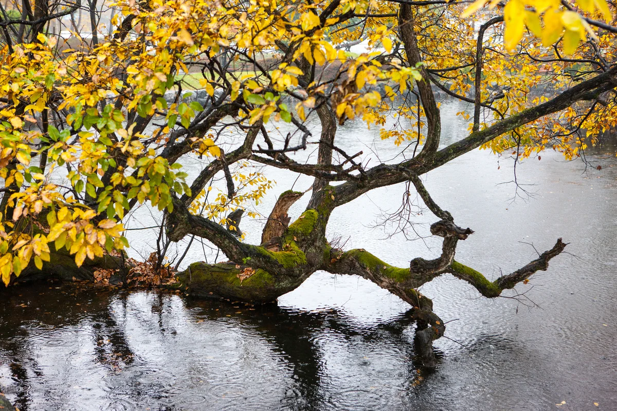 삼강주막마을 - 예천여행 여행