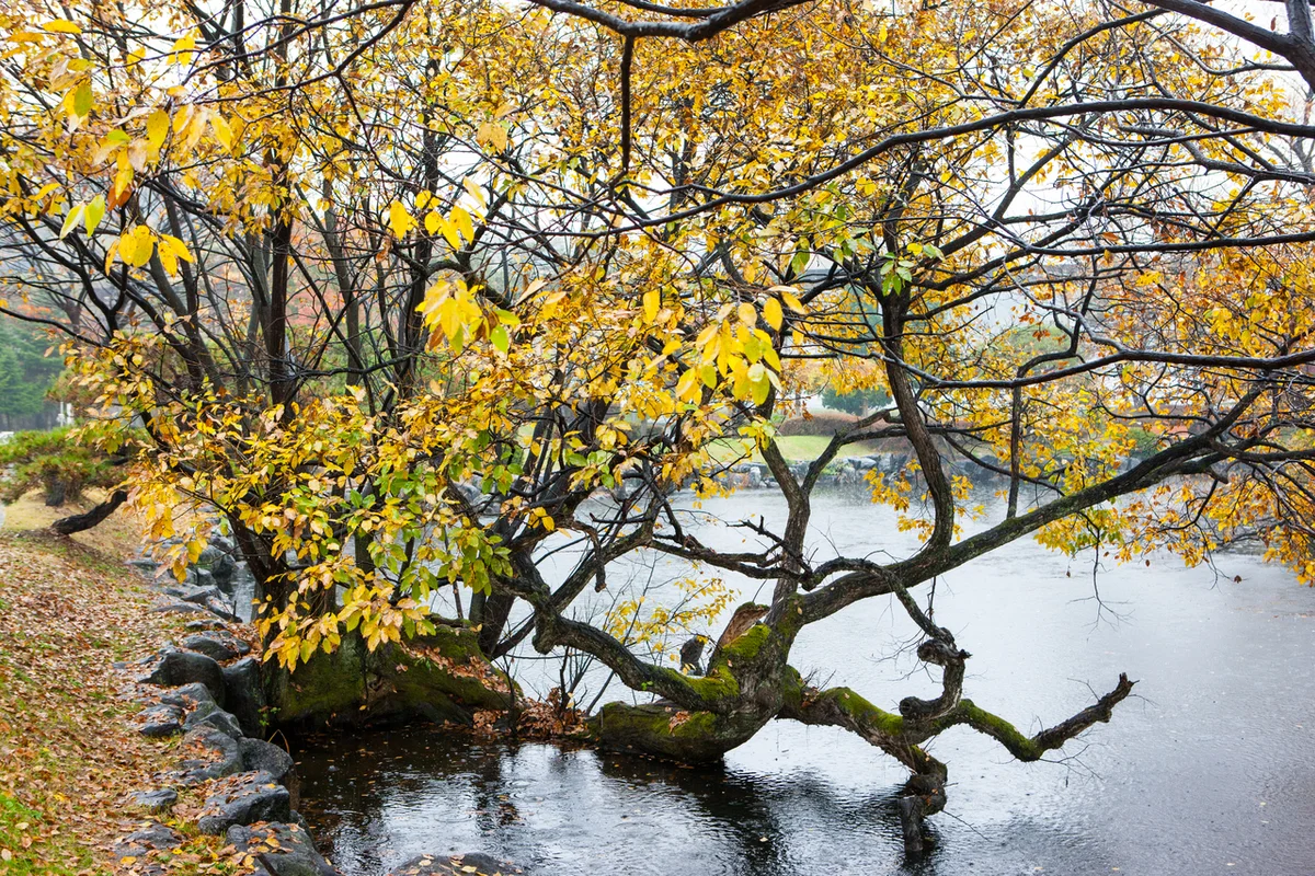 예천충효테마공원 - 예천여행 여행