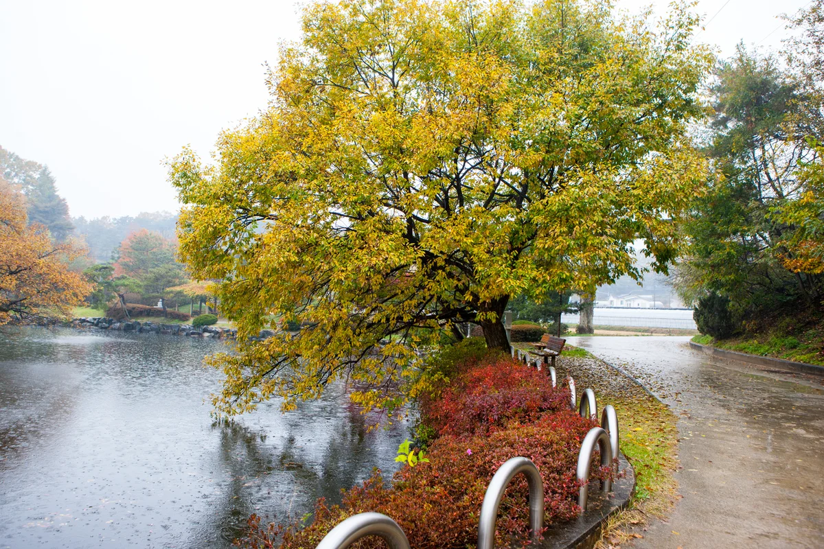 예천곤충생태원 - 예천여행 여행