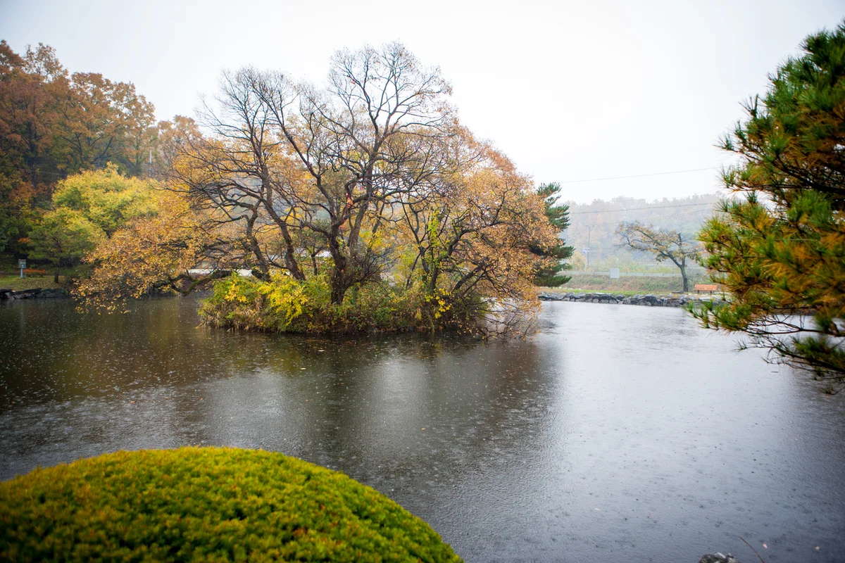 예천목재체험장 - 예천여행 여행