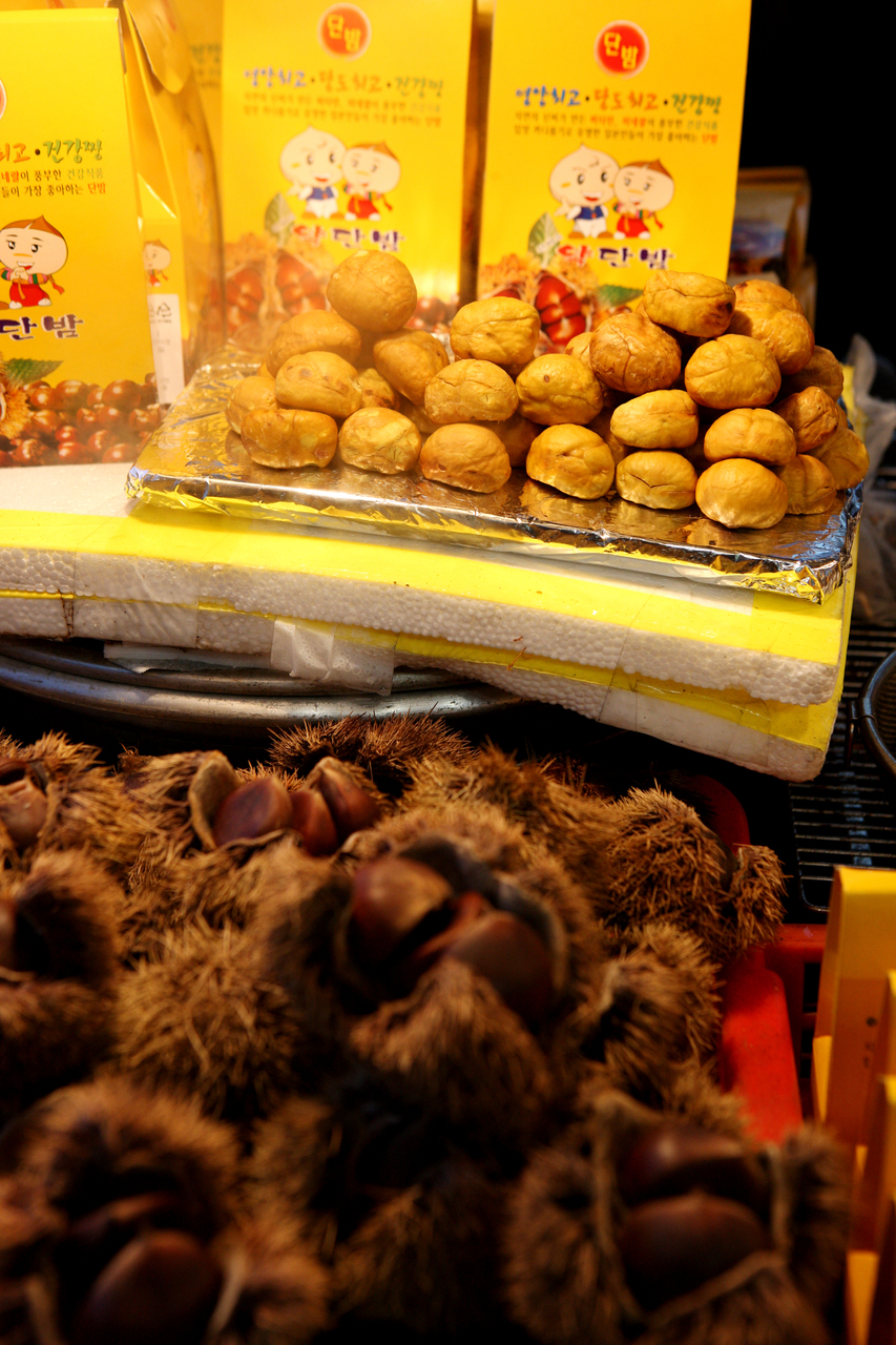 인사동 자전거 도로 (출처 : 한국관광공사)