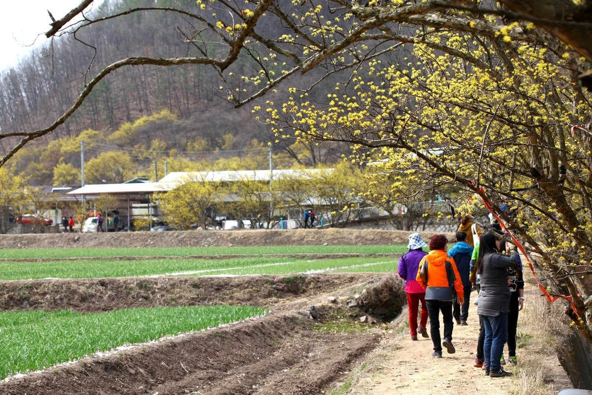 으능정이문화의거리 - 대전여행 여행