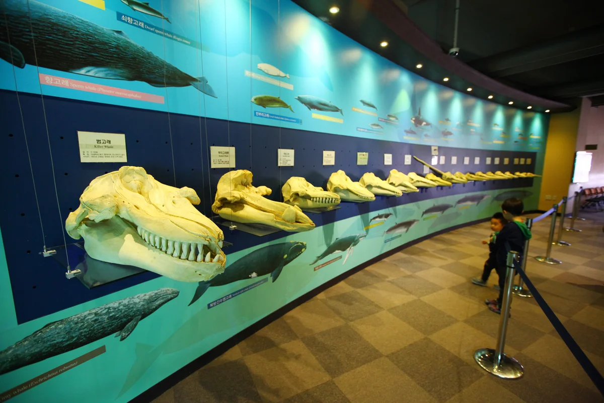 장생포고래박물관 - 울산 여행
