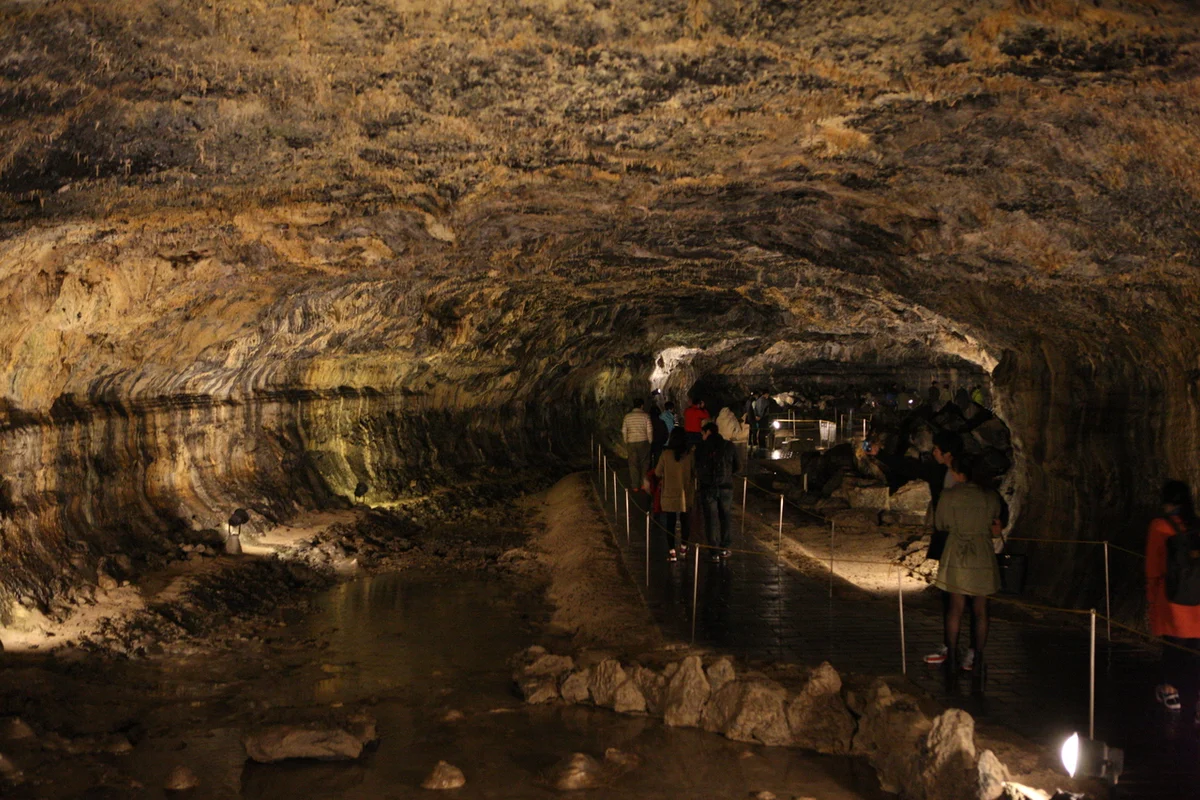 협재 코스모스 명소 (출처 : 한국관광공사)