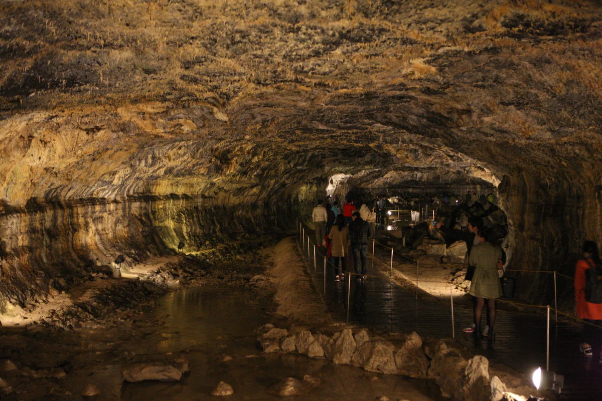 제주월령리선인장군락 - 제주여행 여행