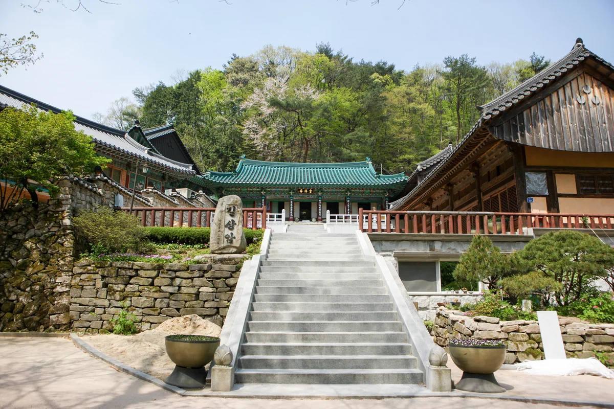 노을공원 - 상암벚꽃 여행