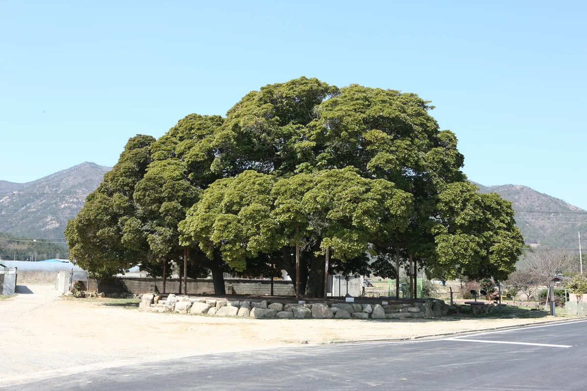 시냇물공원 - 삼산 여행