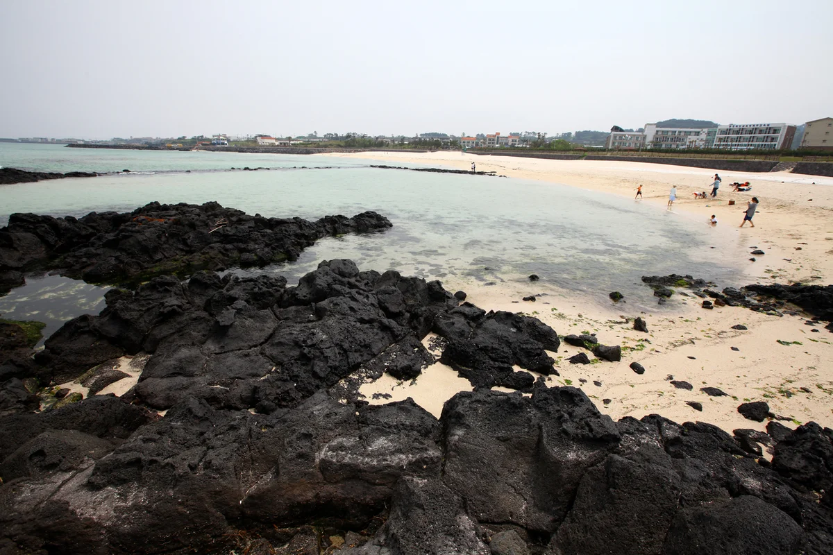 알레스아트 - 곽지트레킹 여행