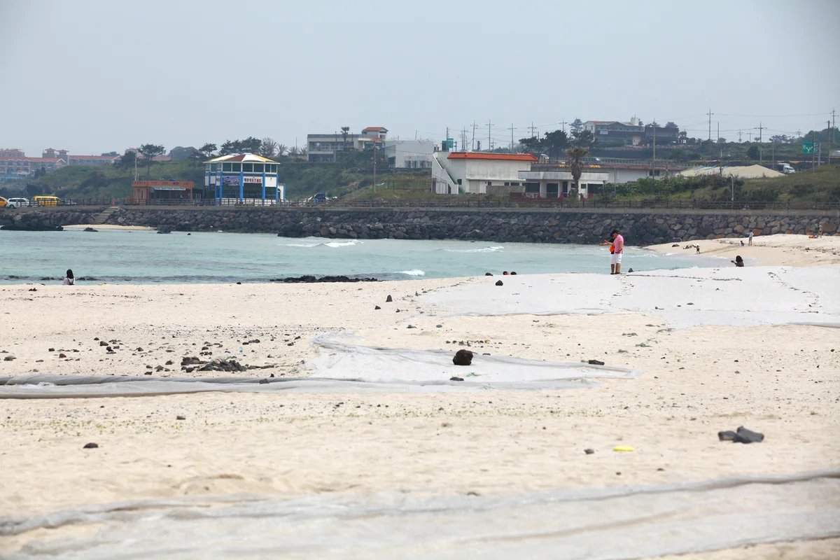 애월이색체험알레스팜 - 곽지트레킹 여행