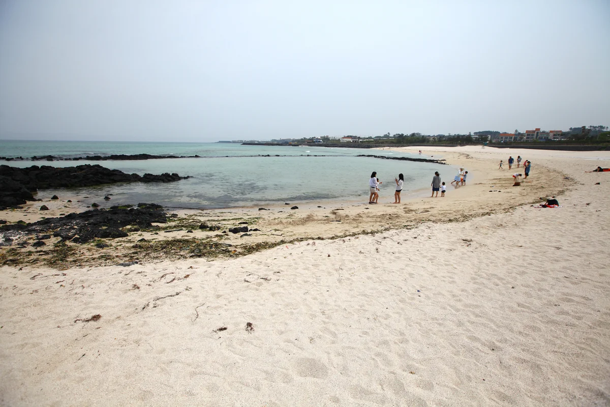 아르떼뮤지엄 제주 - 곽지트레킹 여행