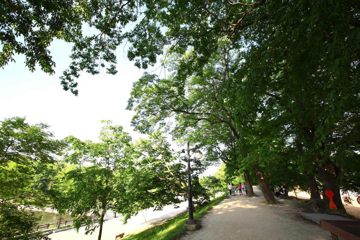 양천공원 - 양천구여행 여행