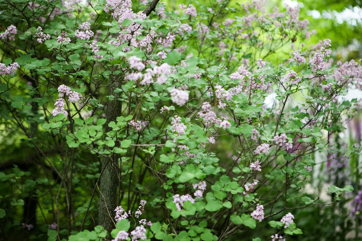 마포새빛문화숲 - 상수커플숙소 여행