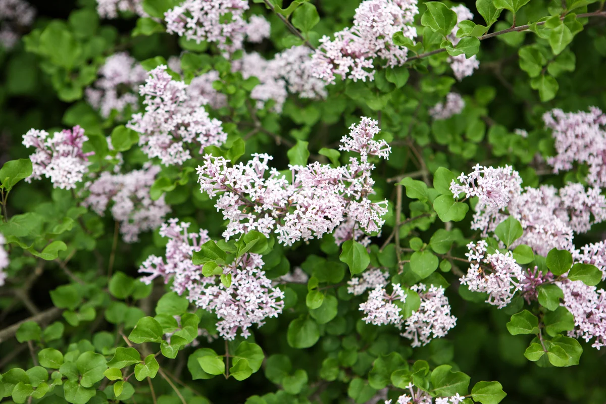 트릭아이뮤지엄 서울 - 상수커플숙소 여행