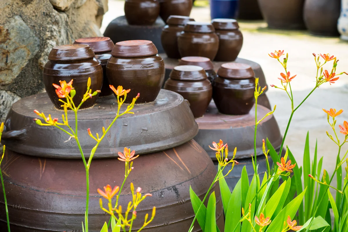 순창 전통고추장 민속마을 - 순창벚꽃 여행