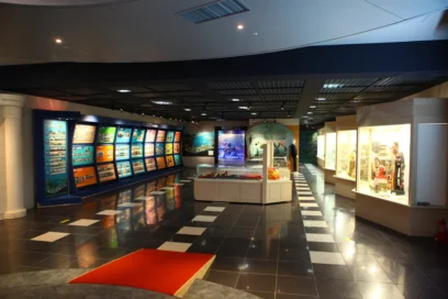 속초 전시, 2026년 놓치지 말아야 할 명소 6곳